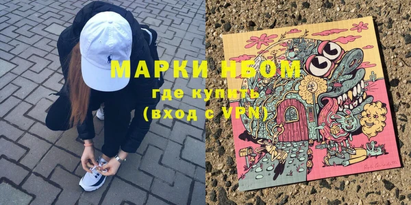 прущие грибы Абинск