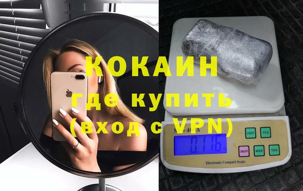 прущие грибы Абинск