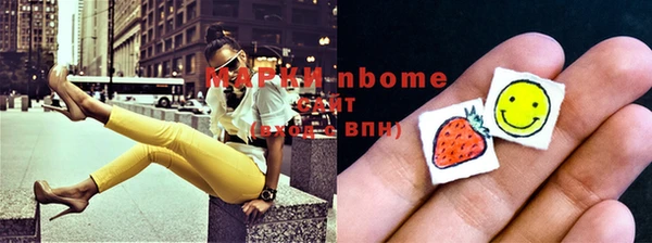 прущие грибы Абинск