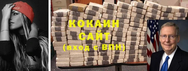 прущие грибы Абинск