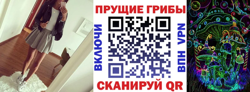 Псилоцибиновые грибы GOLDEN TEACHER  купить наркоту  Белоусово 