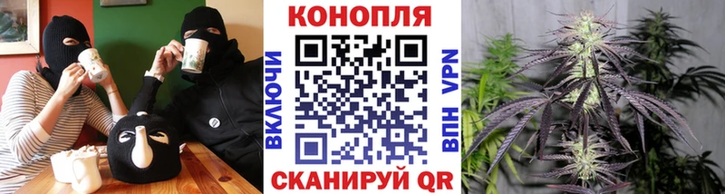 Шишки марихуана марихуана  Белоусово 